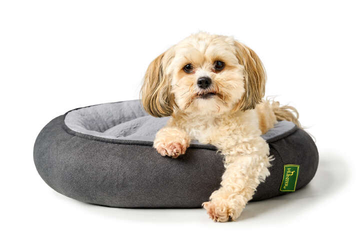 HUNTER Hunde- & Katzenbett Donut Rockford